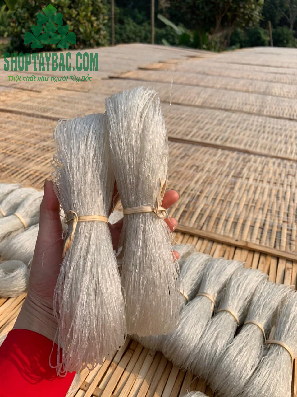 Miến dong được sản xuất thủ công, không pha tạp chất, tẩy màu