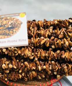 Nấm hương rừng Tây Bắc (1kg)