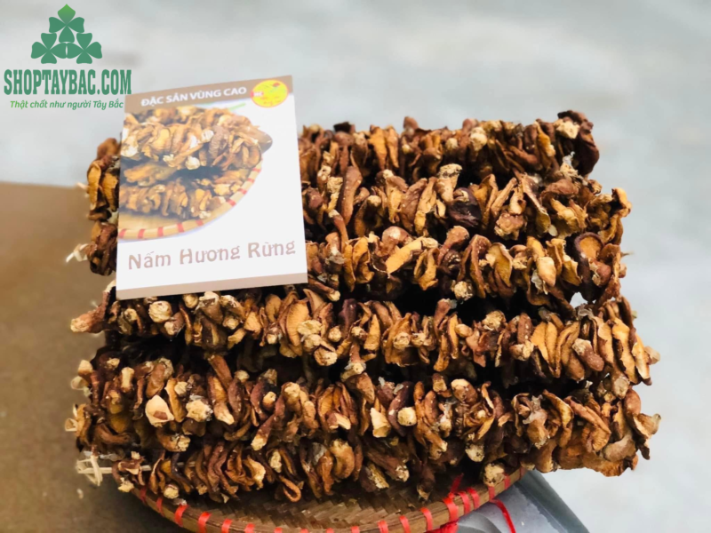 Nấm hương rừng Tây Bắc (1kg)