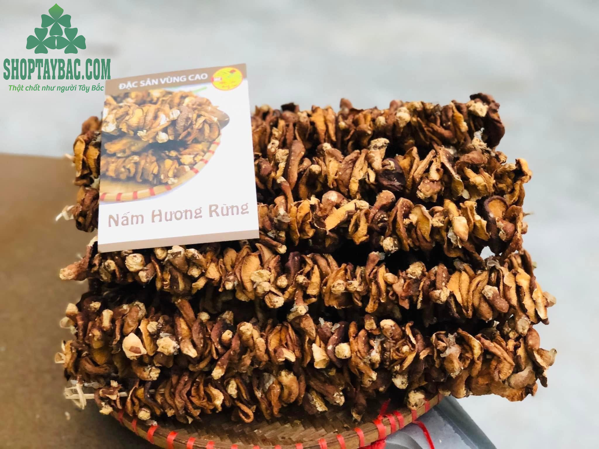 Nấm hương rừng Tây Bắc tự nhiên