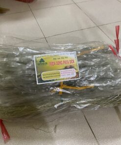 Miến dong Phia Đén Cao Bằng