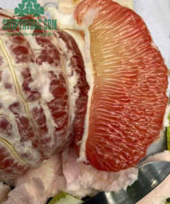 Bưởi da xanh Hòa Bình loại 1