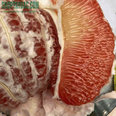 Bưởi da xanh Hòa Bình loại 1