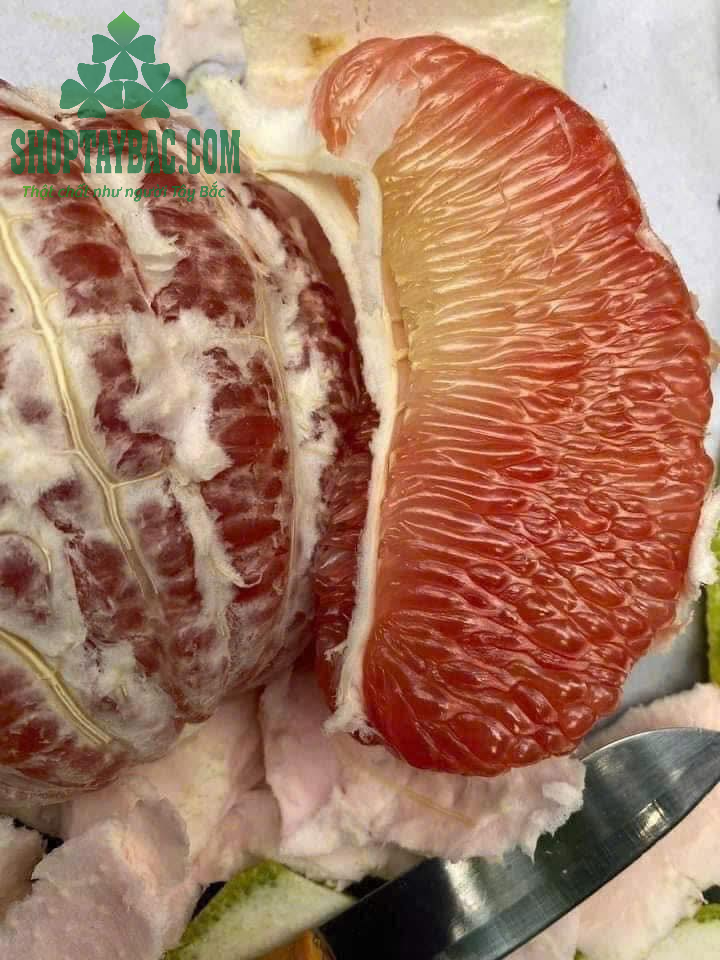 Bưởi da xanh Hòa Bình loại 1