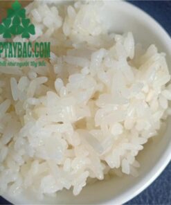 Cơm gạo Séng Cù Mường Khương