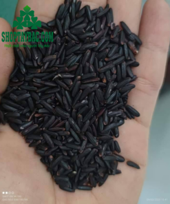 Gạo lứt đen Điện Biên loại 1