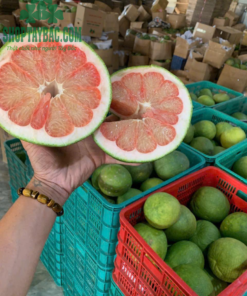 Bưởi da xanh Hòa Bình - 1kg