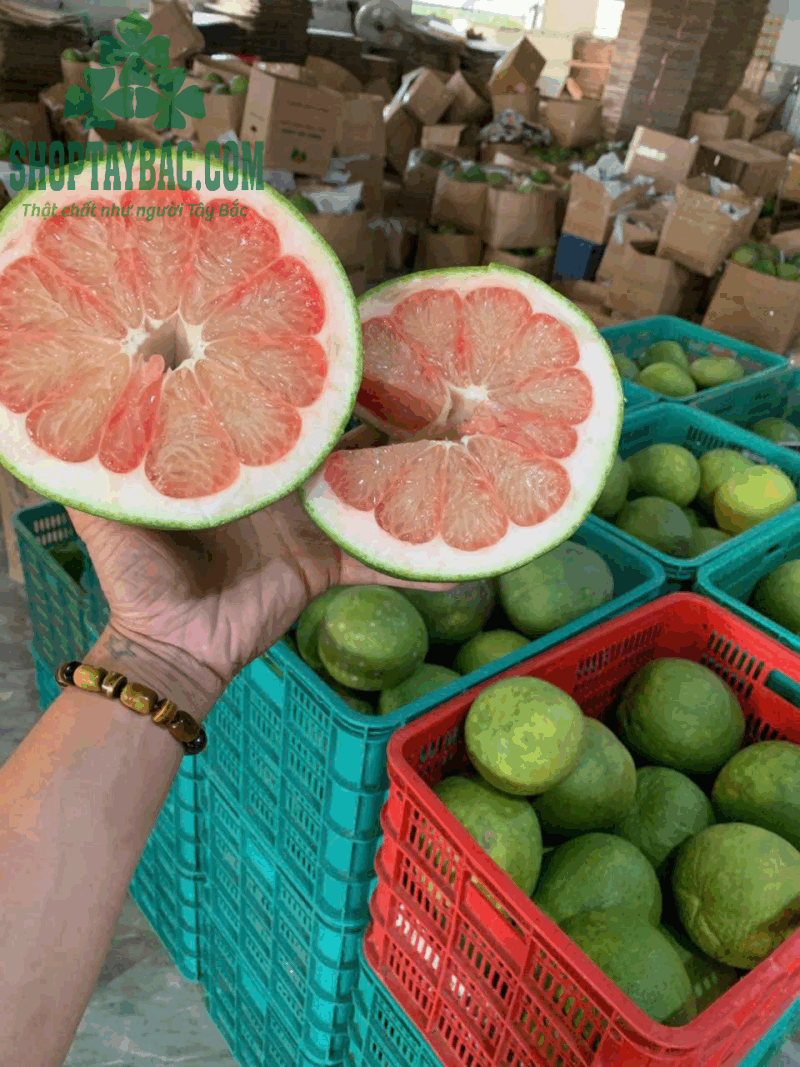 Bưởi da xanh Hòa Bình - 1kg