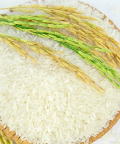 Gạo tám Điện Biên ngon loại 1