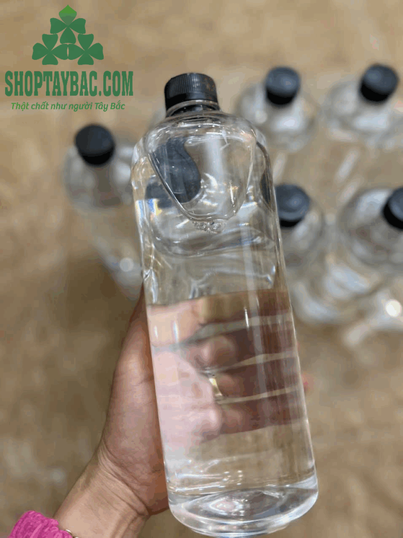 Rượu men lá Tây Bắc