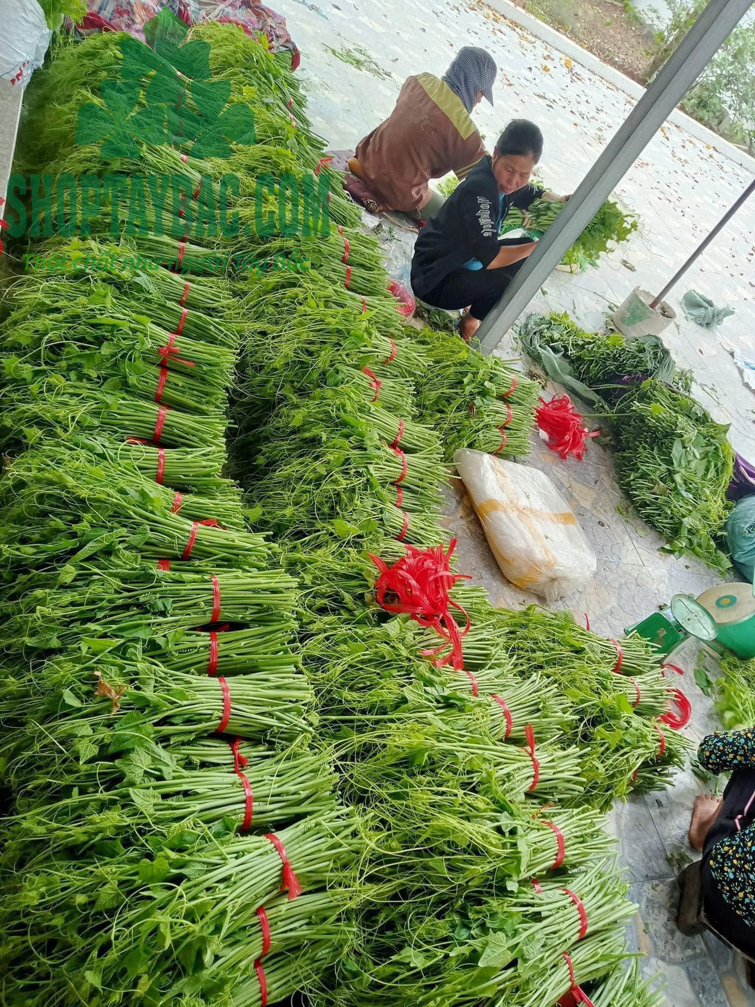 Bó su su chuyển cho khách