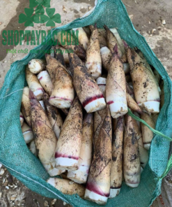 Măng ngọt Sơn La (1 kg)