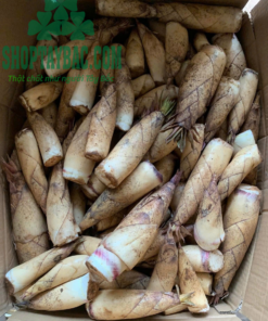Măng ngọt Sơn La đúng vụ