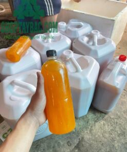 Mật ong ruồi tự nhiên (1 lít)