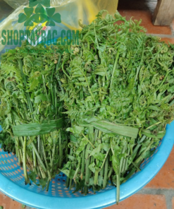 Rau dớn Tây Bắc (1 kg)