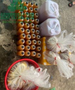Thu mua mật ong ruồi từ bà con Tây Bắc