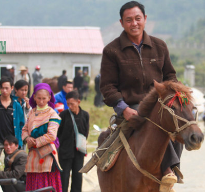 Bà con mang ngựa xuống chợ bán