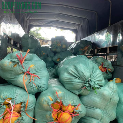 Bưởi đỏ Tân Lạc đóng bao cho khách sỉ