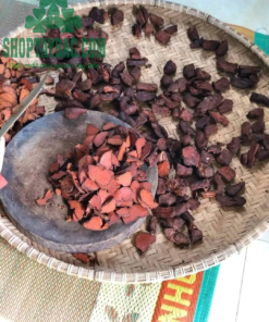 Chế biến hà thủ ô tươi