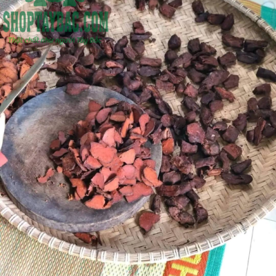 Chế biến hà thủ ô tươi