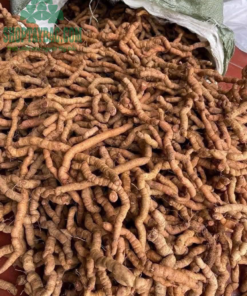 Củ ba kích tím