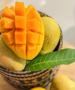 Đặc sản xoài Yên Châu, Sơn La