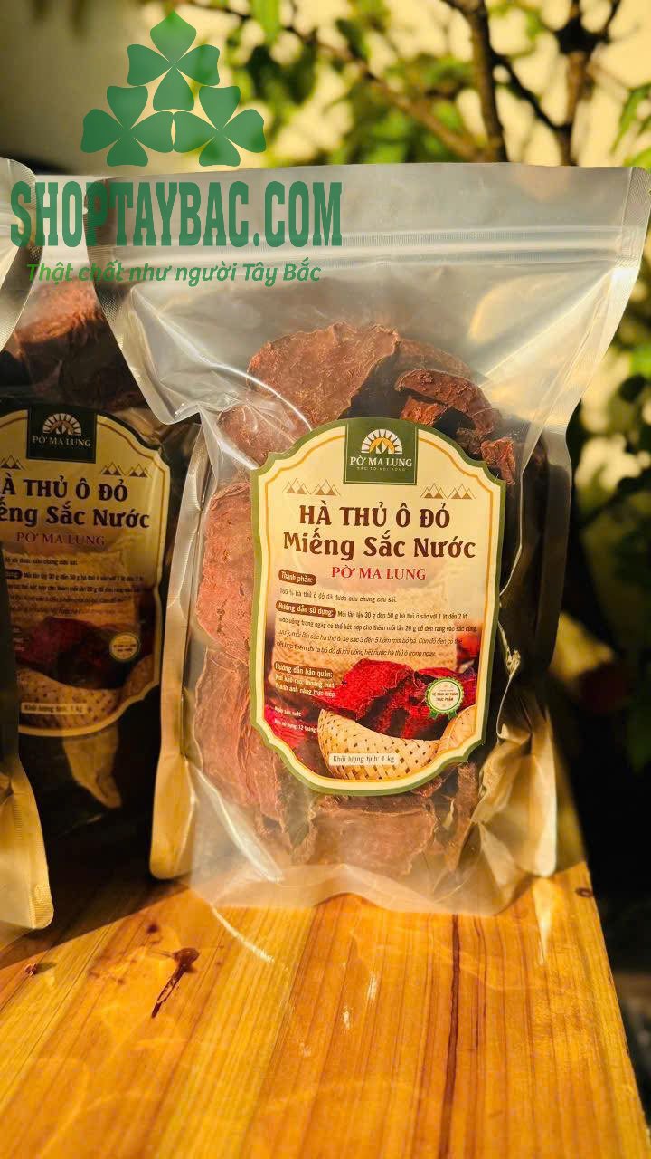 Hà thủ ô Tây Bắc
