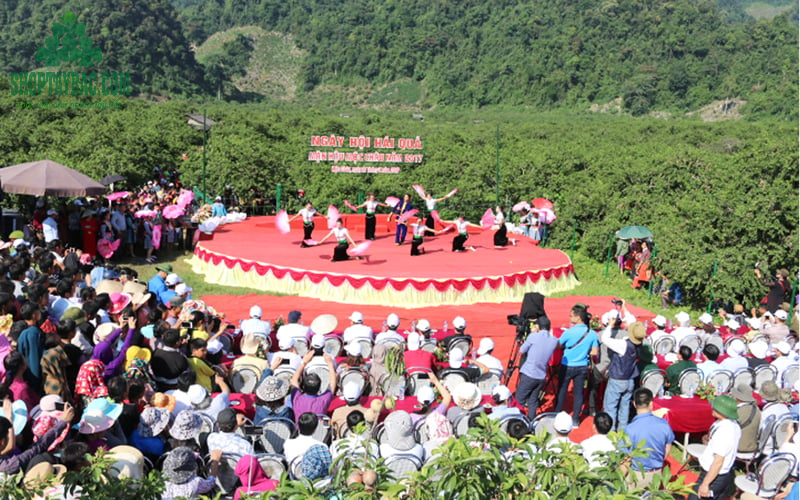 Lễ hội mận Mộc Châu Sơn La