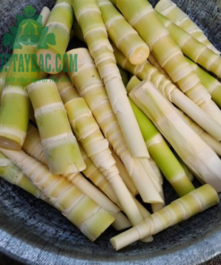 Măng trúc được thu hái tự nhiên từ Yên Bái, Lào Cai
