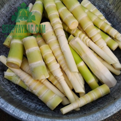 Măng trúc được thu hái tự nhiên từ Yên Bái, Lào Cai
