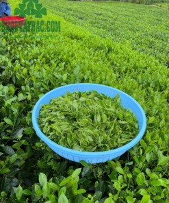 Nông trại tại Thái Nguyên