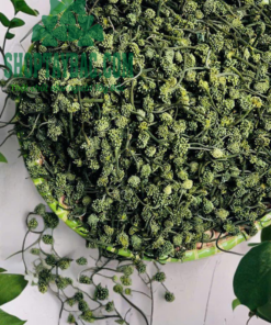 Nụ tam thất bắc Sapa