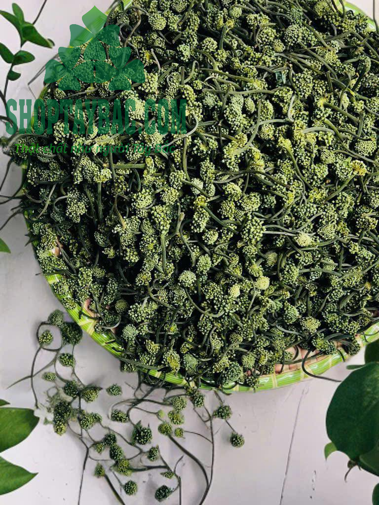 Nụ tam thất bắc Sapa