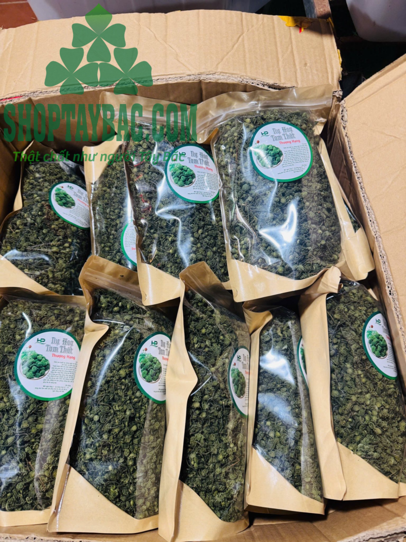 Nụ tam thất bắc (500gr sao khô)