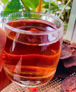 Nước đun hà thủ ô đỏ