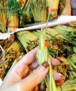 Sâu chít sống trong thân cây chít