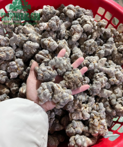 Củ tam thất bắc (1kg phơi khô)