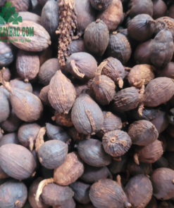 Thảo quả Tây Bắc (1kg sấy khô)