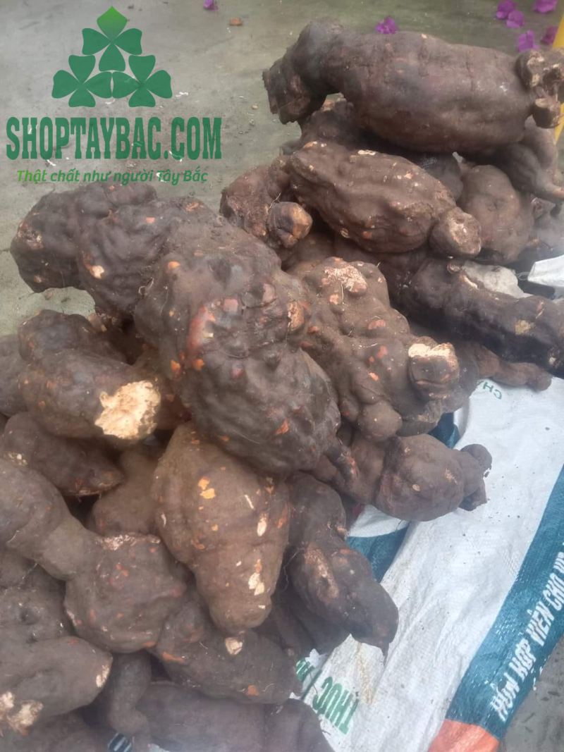 Hà thủ ô đỏ khô (1 kg)