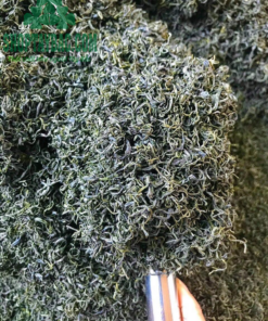 Trà móc câu Thái Nguyên loại 1