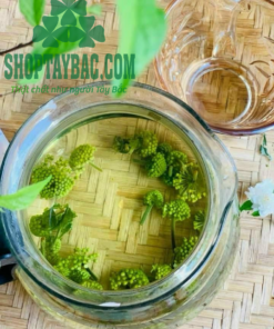 Trà nụ tam thất bắc sapa
