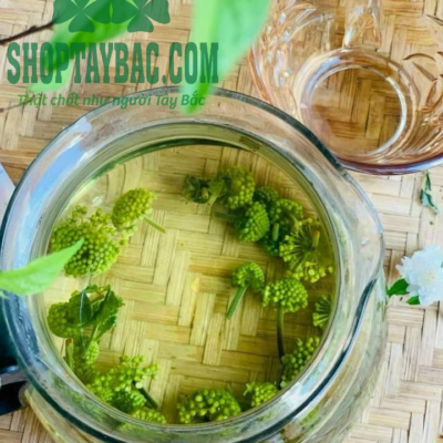 Trà nụ tam thất bắc sapa