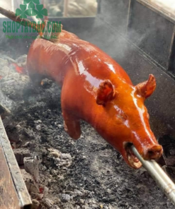 thịt lợn quay nguyên con phù hợp với tiệc gia đình