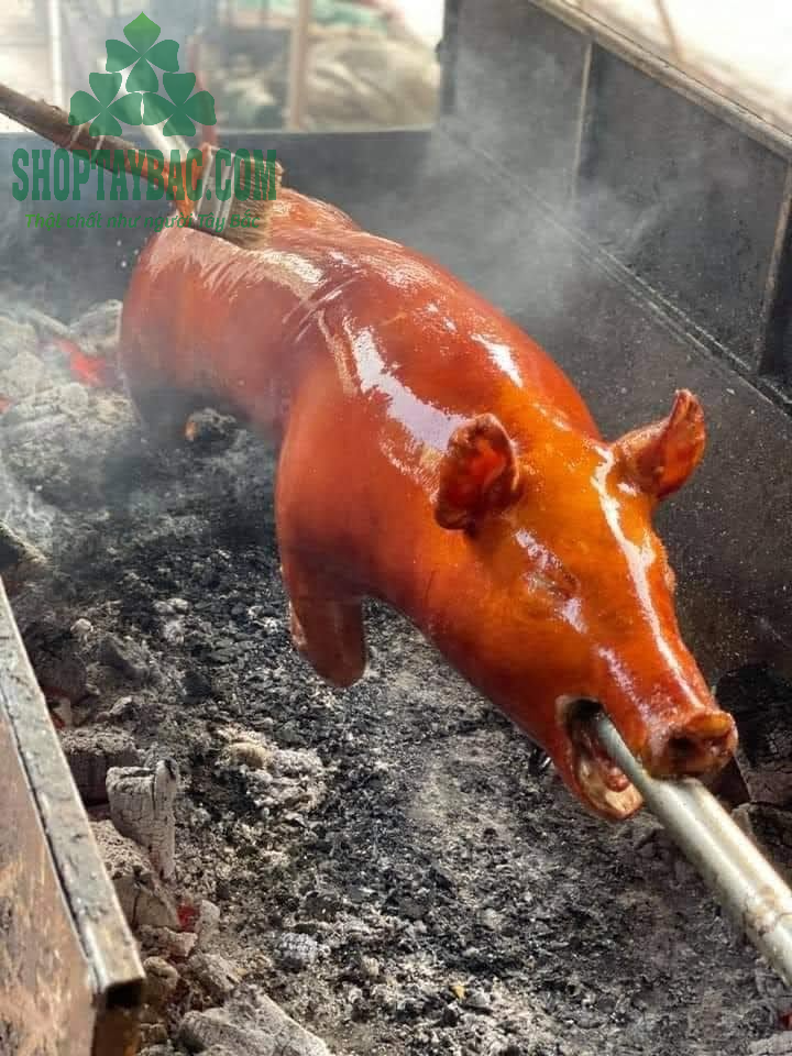 thịt lợn quay nguyên con phù hợp với tiệc gia đình