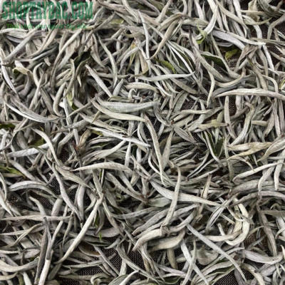 Bạch trà shan tuyết loại thượng hạng 1 tôm