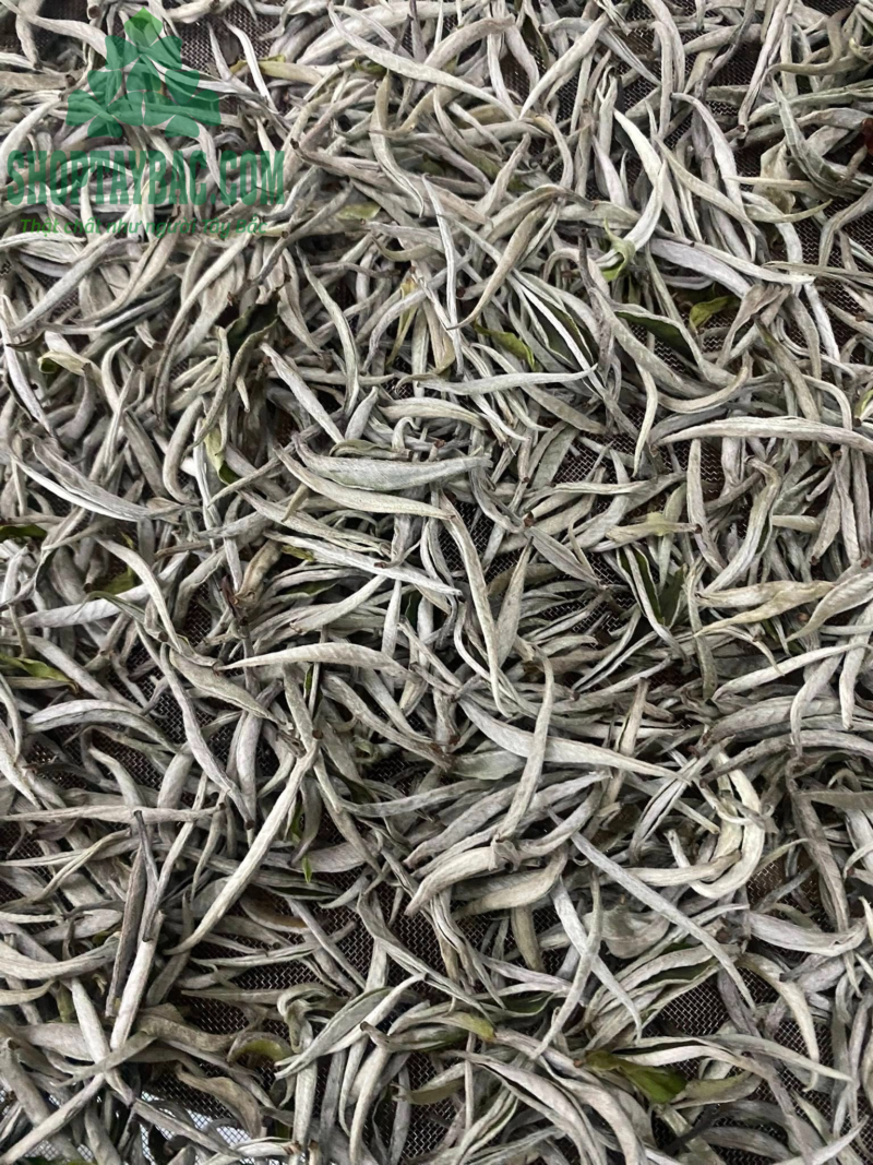 Bạch Trà Shan Tuyết (100gr)