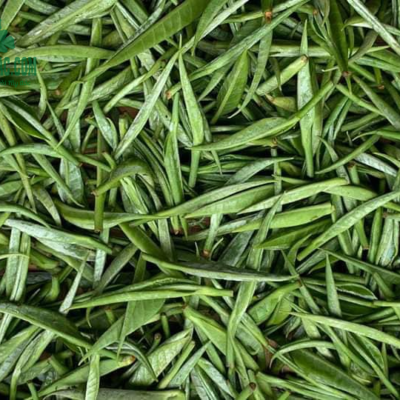 Búp trà shan tuyết loại 1