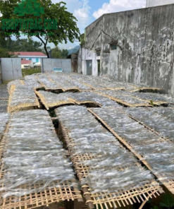 Chế biến thủ công miến dong sợi to