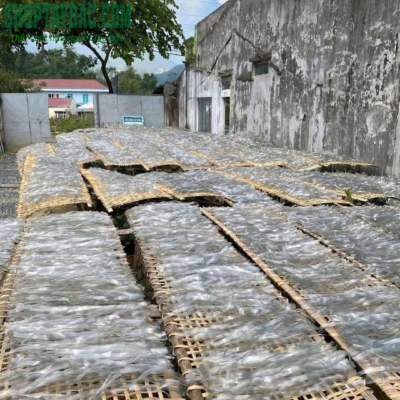 Chế biến thủ công miến dong sợi to