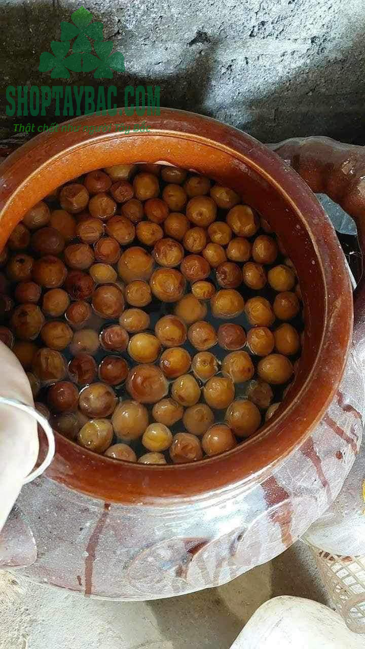 Chum ngâm rượu mơ má đào